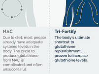 Researched Nutritionals Tri-Fortify Glutathione / Ліпосомальний глутатіон кавуновий 236 мл BX084, фото 5