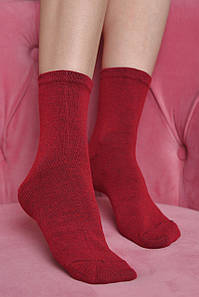Шкарпетки жіночі демісезонні бордового кольору р.37-41 170468P