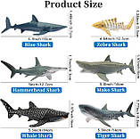 Розвиваючий набір фігурки Акули (6 шт) від Toymany, фото 4