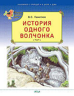 Добрые сказки для детей на ночь `История одного волчонка` Книги для малышей с картинками