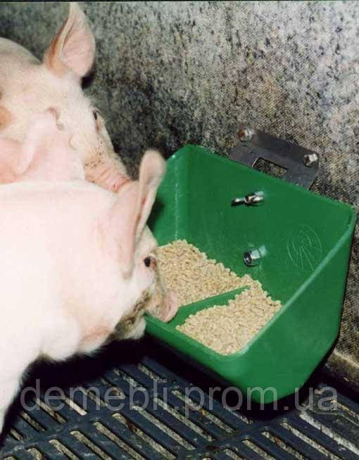 Годівниця бункерна OK Plast на 6 кг для поросят та свиней пластикова (UF-20347) DMB - фото 5 - id-p2053738057