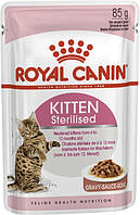 Royal Canin Kitten Sterilised (Кітен Стерилайзед) вологий корм для стерилізованих/кастрованих кошенят, в соусі, 85 гр 12 шт
