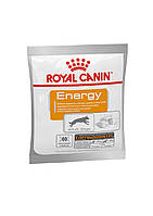 Royal Canin Energy додатковий корм ласощі для активних собак 50 гр