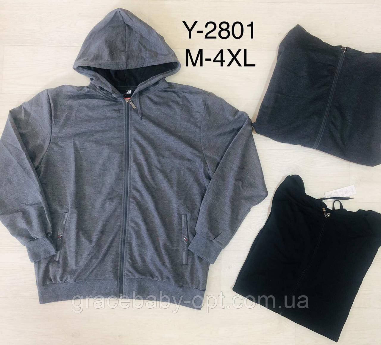 Пайта чоловіча оптом, M-4XL рр, № Hay-Y-2801, фото 1