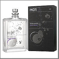 Escentric Molecules Molecule 01 туалетна вода 100 ml. (Эсцентрик Молекула Молекула 01)