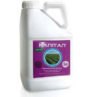 Фунгіцид Капітал Укравіт, 5л