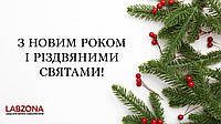 Здобутки 2023 Лабзона