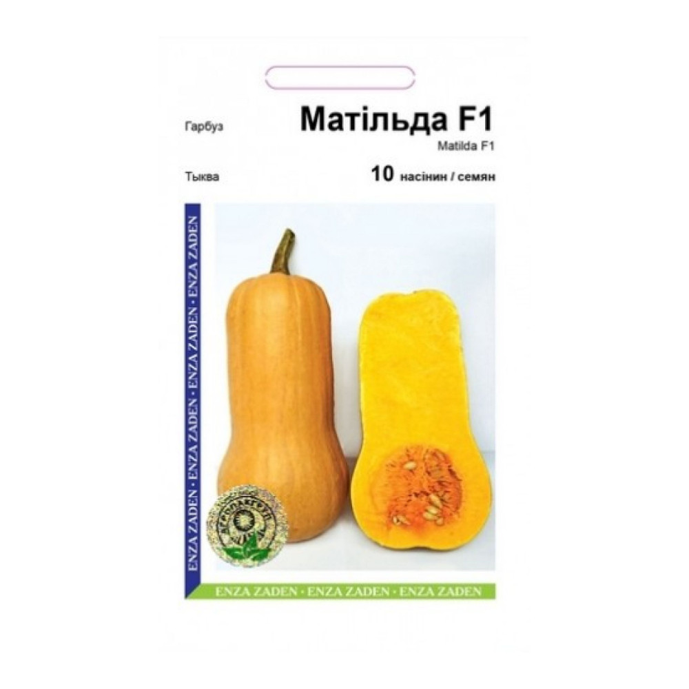 Гарбуз Матільда F1 10 шт Агропак (Enza Zaden)