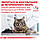 Royal Сanin Feline Calm сухий лікувальний корм для котів для підтримки стану спокою, 2 КГ, фото 7