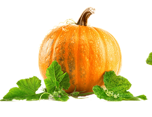 Насіння гарбуза