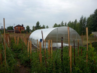Теплиця з полікарбонатом Слов'яночка 3х20 м