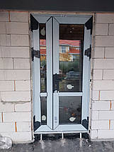 Вхідні пластикові двері 1300*2050, фото 2