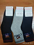 Шкарпетки дитячі махрові з малюнком "Legko Exclusive" р. 20, фото 2