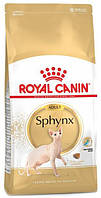 Сухий корм для котів породи сфінкс від 12 місяців Royal Canin Sphynx Adult 2 кг