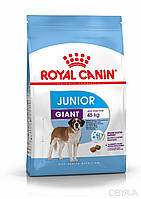 Сухий корм Royal Canin Giant Junior для цуценят гігантських порід старше 8 місяців 15 кг
