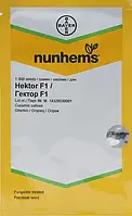 Огірок Гектор 1000 шт Nunhems