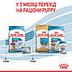 Сухий корм Royal Canin Medium Starter (Роял Канін Медіум Стартер) для цуценят середніх порід, 1КГ, фото 10