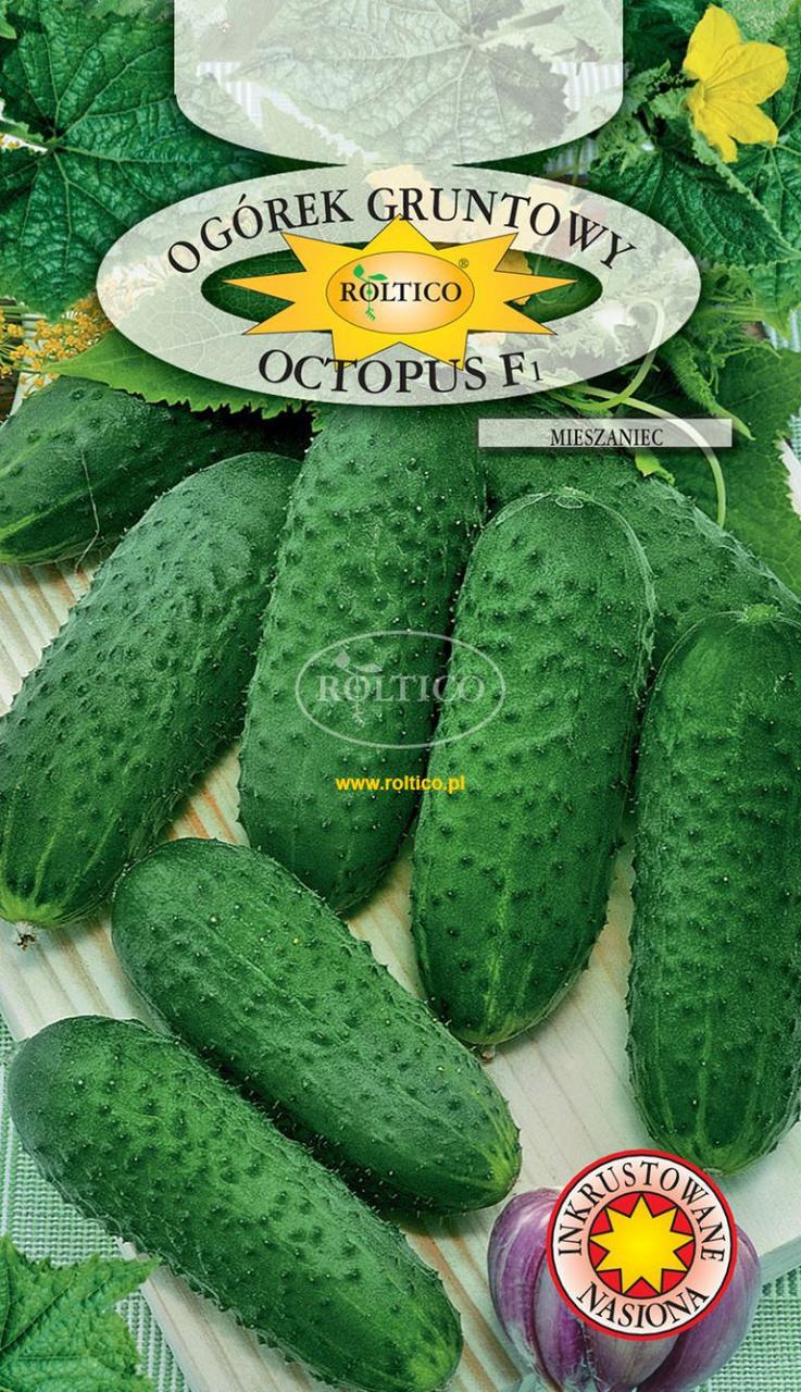 Огірок Октопус F1 / Octopus F1 1,5 г Roltico, Польща, фото 1