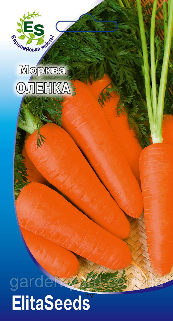 Насіння морква Оленка 2г. ElitaSeeds