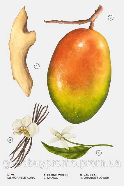 Парфюмированная вода Zara унисекс Memorable Aura 30 мл (1,0 Fl. Oz