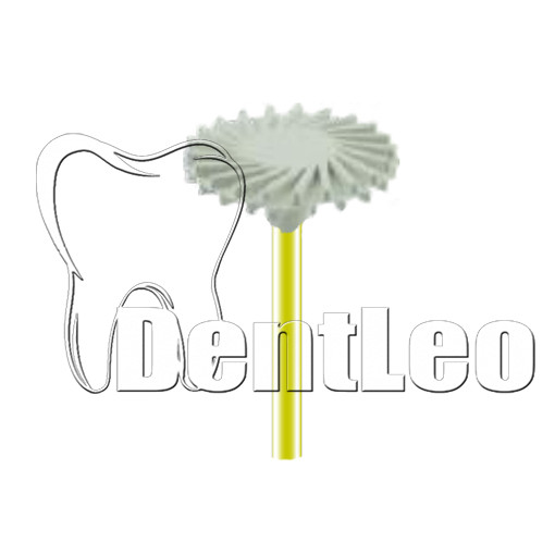 ПОЛІР ДЛЯ ОБРОБКИ ЦИРКОНІЮ DIANG FONG - D17UF