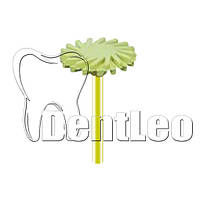 ПОЛІР ДЛЯ ОБРОБКИ ЦИРКОНІЮ DIANG FONG - D17ЕF