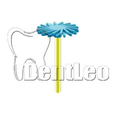 ПОЛІР ДЛЯ ОБРОБКИ ЦИРКОНІЮ DIANG FONG - D17M