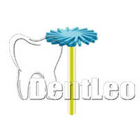 ПОЛІР ДЛЯ ОБРОБКИ ЦИРКОНІЮ DIANG FONG - D17M