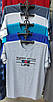 Футболка чоловіча норма, фото 2