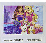 Алмазна мозаїка (JS 20492) 30х20 барді принцесі, фото 2