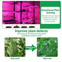 Фітоленти повного спектру для вирощування мікрозелені 1м. 2м. 3м.