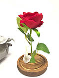 Червона Троянда в скляній колбі з LED підсвічуванням Rose of Love Рожева на батарейках, фото 9
