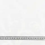 Тканина з акриловим просоченням греко/greco білий (140см 221г/м² пог.м) 121082, фото 3