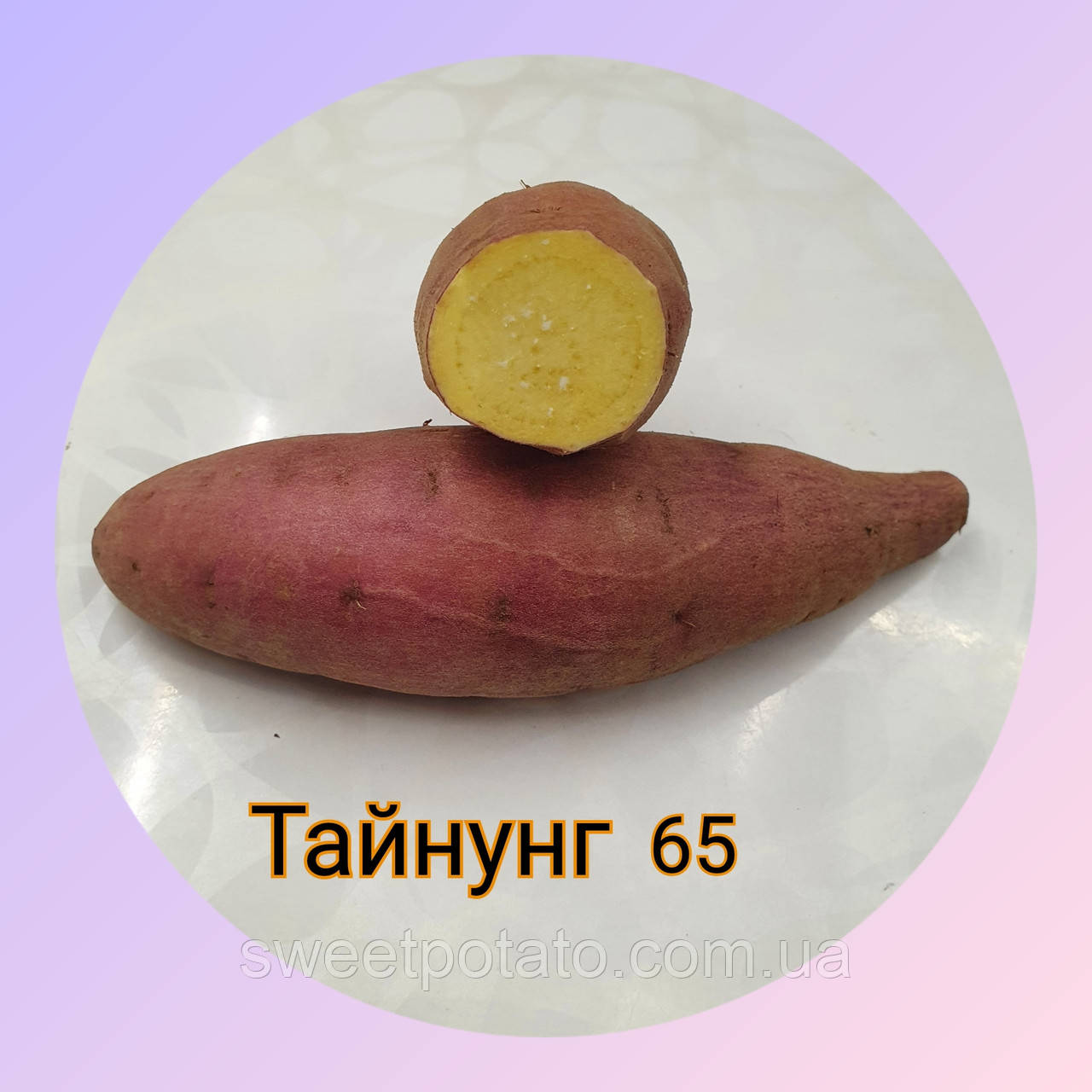 Батат сортовий для розсади сорт Тайнунг із жовтою (світлопомаранчовою м'якотю)