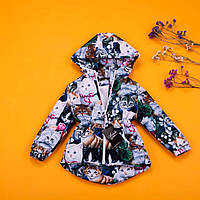 Куртка-парка для дівчаток демісезонна з сірої плащової тканини з принтом котиків р. 80-134