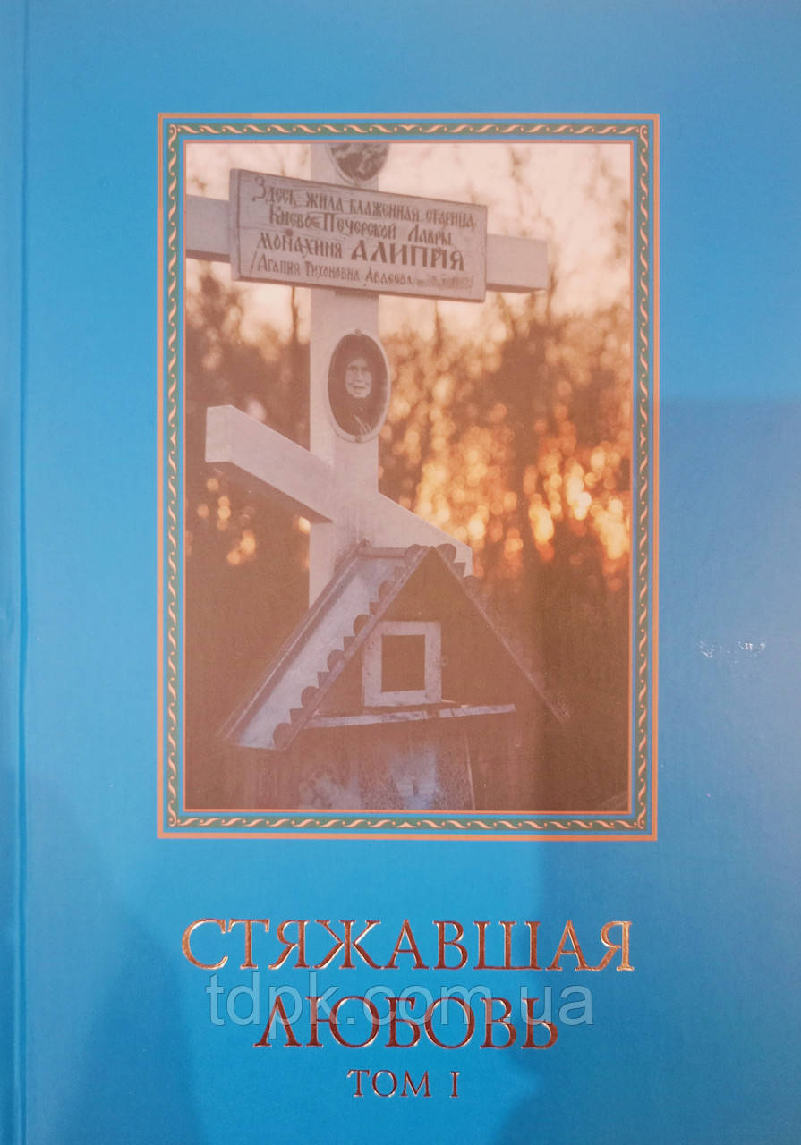 Та, що здобула любов 1 книга