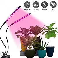 Фито лампа двойная для растений полный спектр с пультом 30 Вт Dt