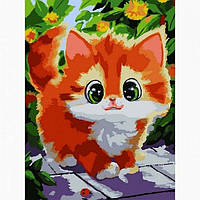 Картина за номерами 30*40см Руде кошеня Santi