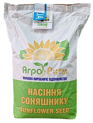 Насіння соняшника гібрид Бомонд  під гранстар (екстра) 2023 рік, ТОВ  "НВП "АГРО - РИТМ", Україна