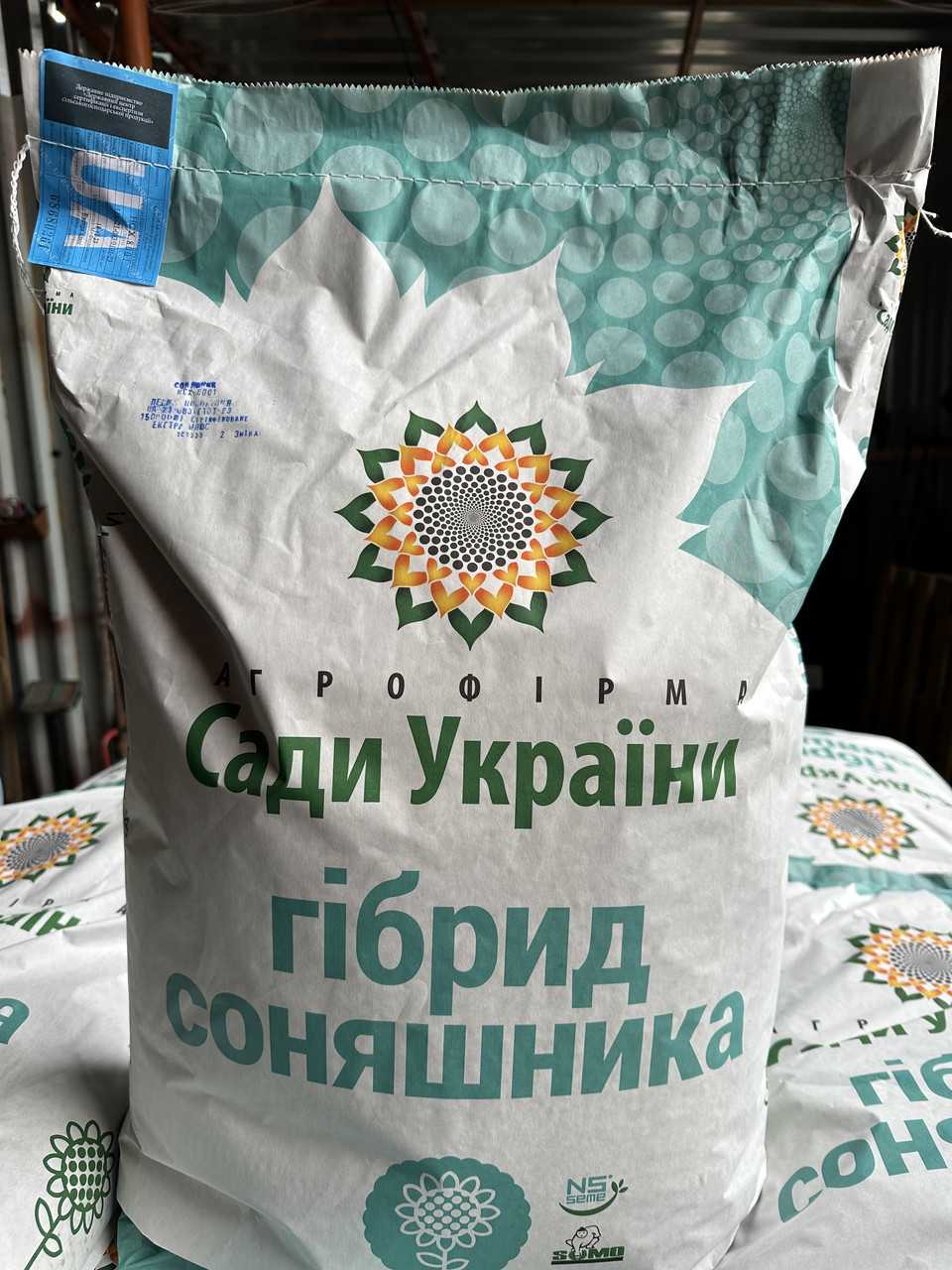 Насіння соняшника НС Х 8001Екстра плюс, фото 1
