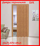 Міжкімнатні двері гармошка Vinc  82х203см. чорне дерево, матові. Доставка., фото 7