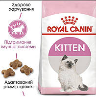 Royal Kitten сухою корм для котят 2 кг