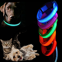 Светящийся ошейник LED для собак и кошек 0.5 м Красный, Желтый