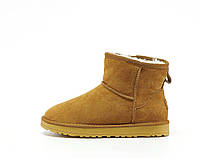 Женские стильные угги UGG Mini (коричневые) модная зимняя обувь 14516 Угги vkross