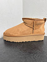 Женские стильные угги UGG Ultra Mini Platform Premium Beige (бежевые) модная зимняя обувь D465 Угги house