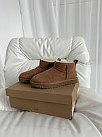 Женские стильные угги Ugg Ultra Mini Chestnut (коричневые) модная зимняя обувь art0540 Угги house