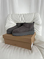 Женские стильные угги Ugg Ultra Mini Mid Platform Grey Suede (серые) модная зимняя обувь art0545 Угги house