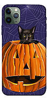 Чохол itsPrint Cat and pumpkin для Apple iPhone 11 Pro Max (6.5")