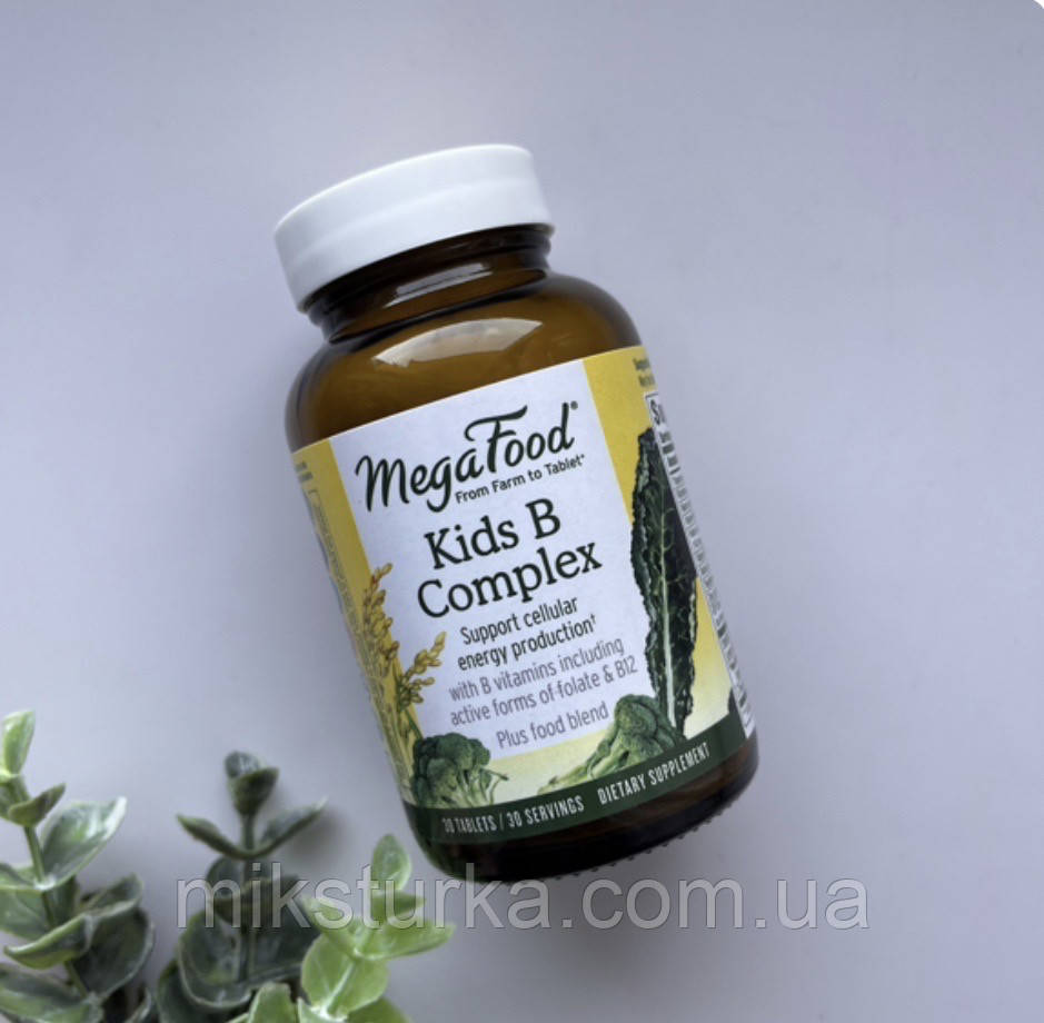 Комплекс вітамінів групи B для дітей Iherb MegaFood, Kids B Complex, 30 таблеток