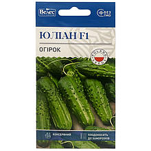 Насіння огірка середньораннього "Юліан" F1 (0,5 г) від ТМ "Велес", Україна